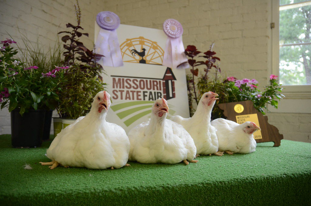 2018 Missouri State Fair